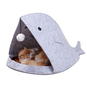 Catálogo Para Camas Para Perros Tiburon Que Puedes Comprar Esta Semana