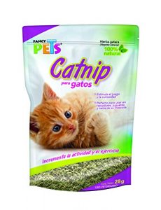 Recopilaciones De Catnip Fancy Pets Comprados En Linea