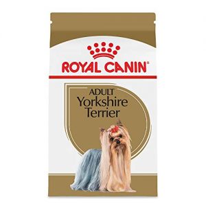 Nuestra Opinión De Royal Canin Yorkshire 8211 Sólo Los Mejores