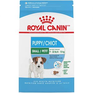 Catálogo Para Royal Canin Rc493025 8211 Los 5 Primeros