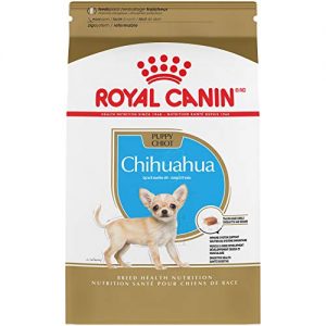 Recopilaciónes De Royal Canine Chihuahua 8211 Los 5 Primeros
