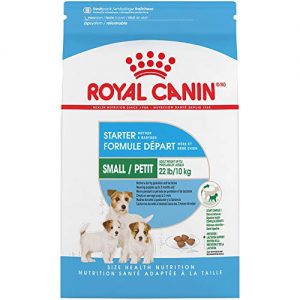 Recomendaciones De Started Royal Canin Que Puedes Comprar En Línea