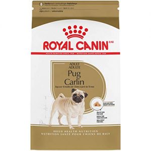 Asesoramiento De Compra Royal Canine Pug 5 Favoritos