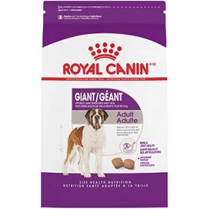 Recomendaciones De Royal Canine Giant 5 Favoritos