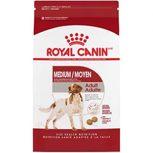 Mejores Royal Canin Beagle Favoritos