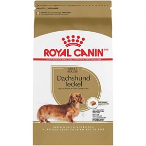 Mejores Royal Canin Dachshund Los Preferidos Por Los Clientes
