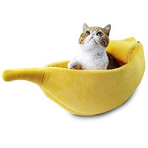 Lista De Camas Para Gatos Banana Los Diez Primeros